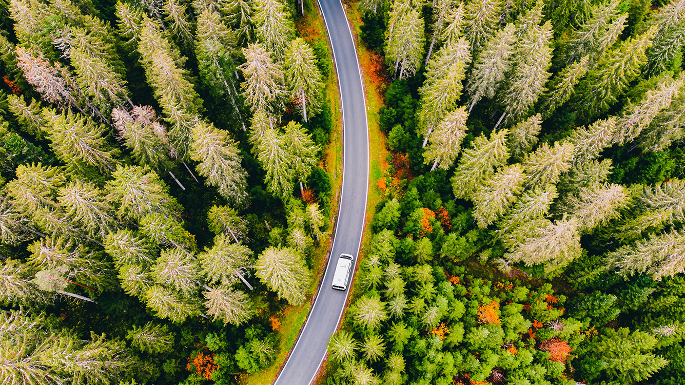 /content/dam/vision/news/blog/forest-road-aerial.jpg